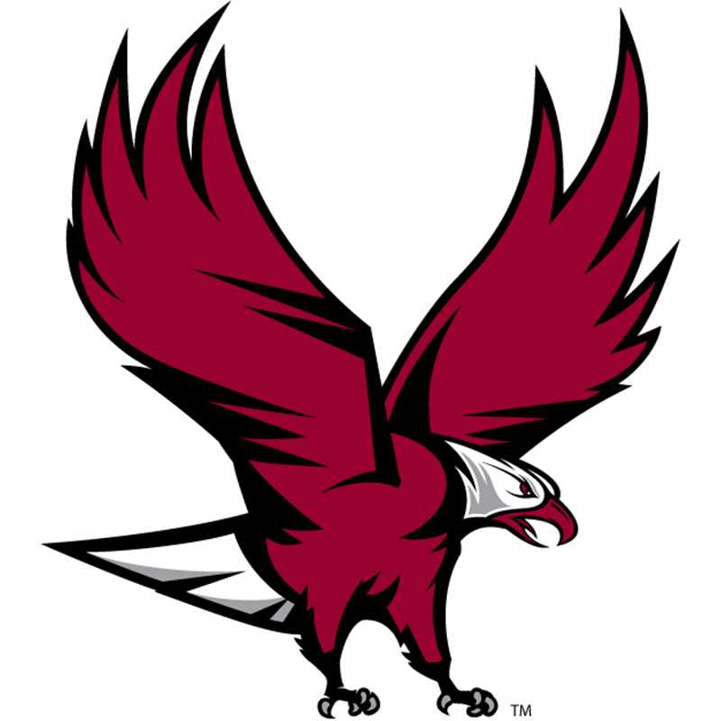 NCCU Eagles iron ons